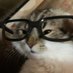 Floptropica (@sitikusmini19) Twitter profile photo Floptropica (@sitikusmini19) Twitter profile photo