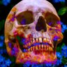 JoriPLevy's profile picture. 80s baby. Brooklyn NYC Cardano,Millennials will decide our future. N.F.A/D.Y.O.R United Blockchain. Real Human.