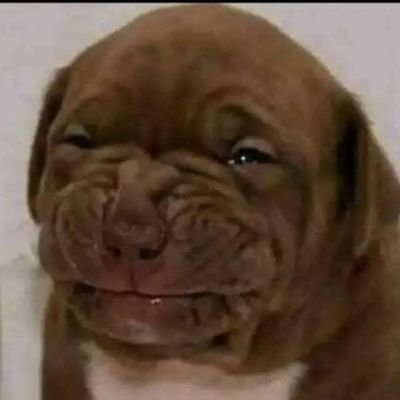 RodWolffe20's profile picture. 