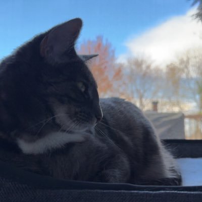 KARIBUmusic's profile picture. 22 | she/her 🫧