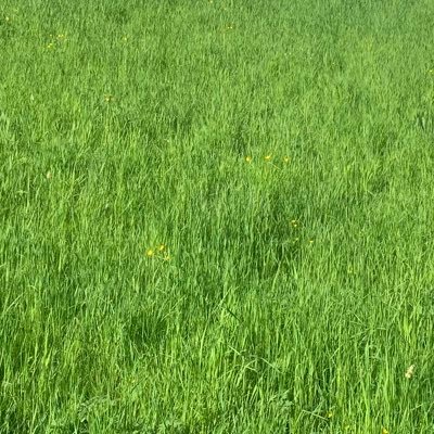 teekshna111's profile picture. Conscious life | Seeking the limitless | Sanatana | Exploring the richness of Indian culture | Isha | Yoga