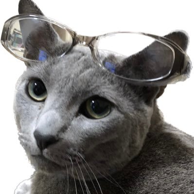 namanari2023's profile picture. 🐈愛猫家🐈