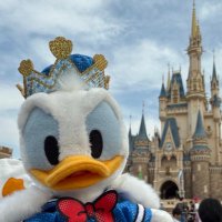 和泉 (@_leopi__) Twitter profile photo