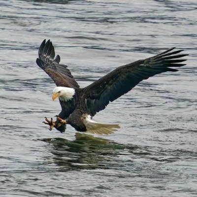 🇺🇸Independent women💄Small business owners🏄♀️Surfing🌎Reading fitness🏈Photography📸🦅Eagle🇺🇸America first🇺🇸Free speech🇺🇸Old fashioned Tulsa scam