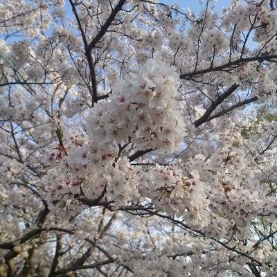 6T9ZTeiis258313's profile picture. 