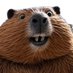 ビーバー(激おこ) (@beaverparadise) Twitter profile photo ビーバー(激おこ) (@beaverparadise) Twitter profile photo