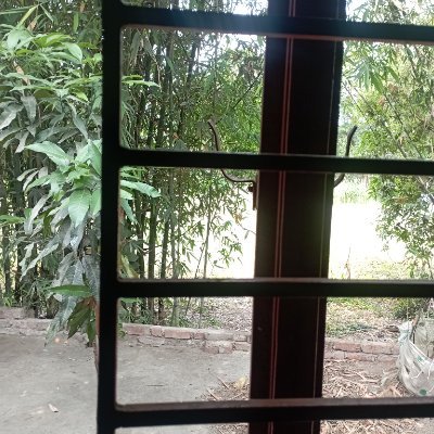 Aftafur_004's profile picture. 