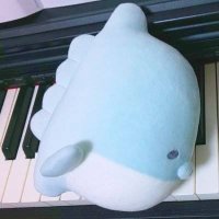 ☻たぼよん🐳 (@kolbe1208) 's Twitter Profile