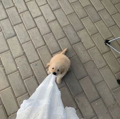 ςさんのプロフィール画像