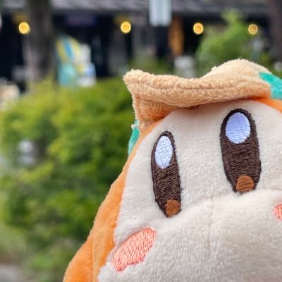 ゆきのこさんのプロフィール画像