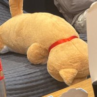しがはり (@halnoob) 's Twitter Profile