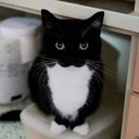 luis enrique tan - @PCONTACT0 - Twitter