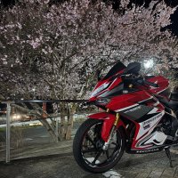 めめ (@pr_cbr_0128) Twitter profile photo