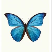 Fatema (@__xfatema) 's Twitter Profile