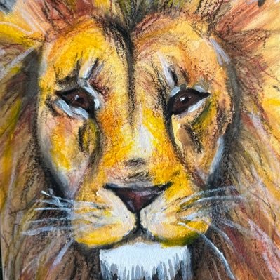 Mparke88's profile picture. Instagram-MATTJPARKE Snapchat-mjparke_1