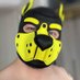 k9shine (@k9starpup) Twitter profile photo k9shine (@k9starpup) Twitter profile photo