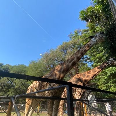 AnaknyaJendral's profile picture. 