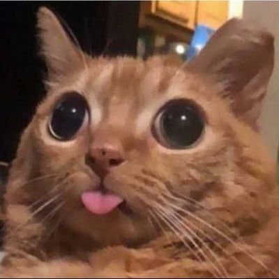 RishiMD478147's profile picture. innovator