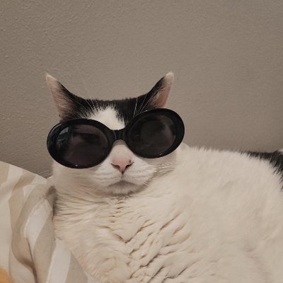 RWZenith's profile picture.