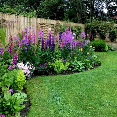 the21104's profile picture. pronouns - are a red flag thank you