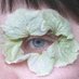 Scott (@scott576641500) Twitter profile photo Scott (@scott576641500) Twitter profile photo