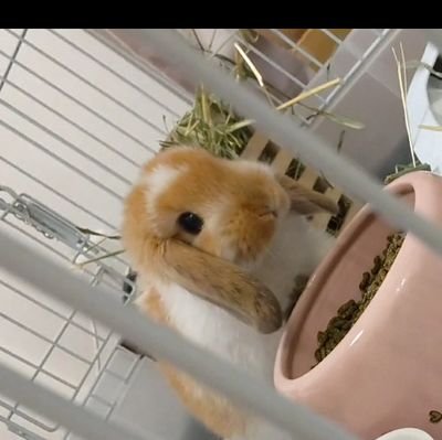 AquaTimes0506's profile picture. MedicalDAO
NFT
アニメ好き(物語シリーズや、シュタゲなど)