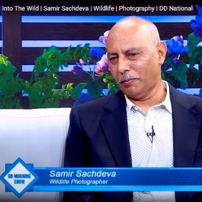 Wildlife & bird photographer | AFIP • AFIAP • PPSA | I shoot to stir, not to show | Watch more: https://t.co/lixTQFb5AI