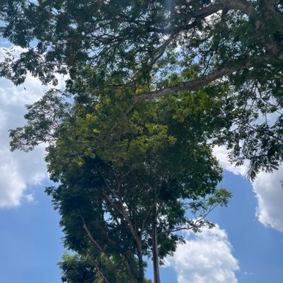 sugakrbbxhm's profile picture. NEXZ YU