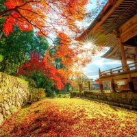 Eric Williams (@ericwillia34253) 's Twitter Profile