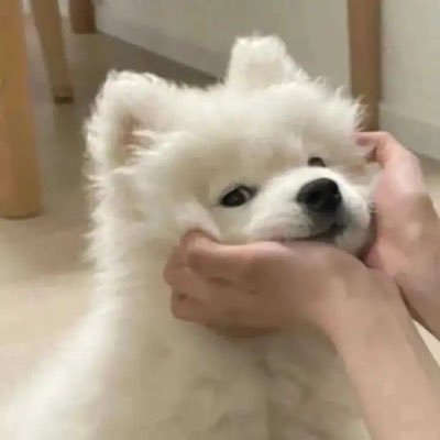 たかさんのプロフィール画像