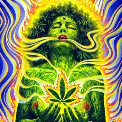 My dear Twitter Brothers, If anyone needs to go viral 💥 like, RT, follow, or views---Drop your Tweet 📩Then DM me.Thanks https://t.co/vQzplCqFTy