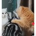 OnlyPaw (@shesforstreets) Twitter profile photo OnlyPaw (@shesforstreets) Twitter profile photo