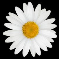 SimplyMe (@sajustasking) 's Twitter Profile