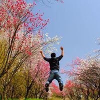 toshikazu (@heijitu_photo) 's Twitter Profile Photo toshikazu (@heijitu_photo) 's Twitter Profile Photo