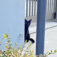 えむ️🗝 (@m_e_t_w_) 's Twitter Profile