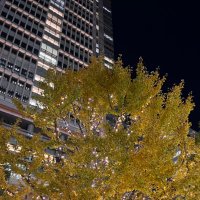 rrrubio9 (@rrrubio9) 's Twitter Profile