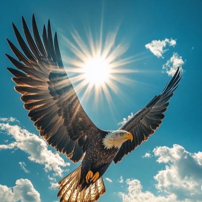 Benwash_'s profile picture. Data Analyst & Realtor & NFT ♍️