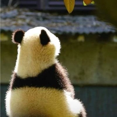 @my_kka_pzi