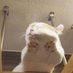 sommmm (@sommmm951691529) Twitter profile photo sommmm (@sommmm951691529) Twitter profile photo