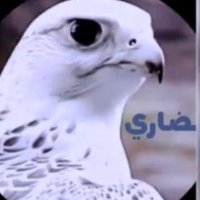 💙الضاري 💙 (@ab_1957a) 's Twitter Profile