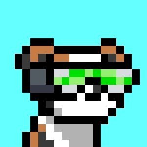 AChelseych's profile picture. Fullstack Developer