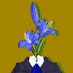 Whalebro (@whalebroxd) Twitter profile photo Whalebro (@whalebroxd) Twitter profile photo