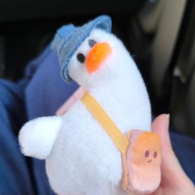 匝🦋低浮上になれないさんのプロフィール画像