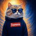 heycat🐬 (@0xheycat) Twitter profile photo heycat🐬 (@0xheycat) Twitter profile photo
