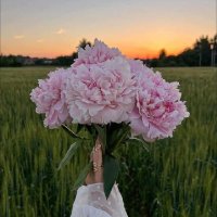 Aya Ellithy (@ellithy_ay10148) Twitter profile photo