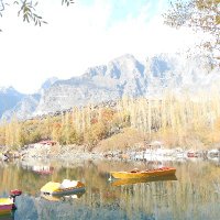 Ghulam Rabbani434 (@grabbani4370600) 's Twitter Profile