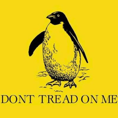 volks043's profile picture. 