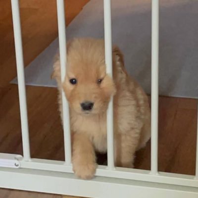 feright92872's profile picture. 