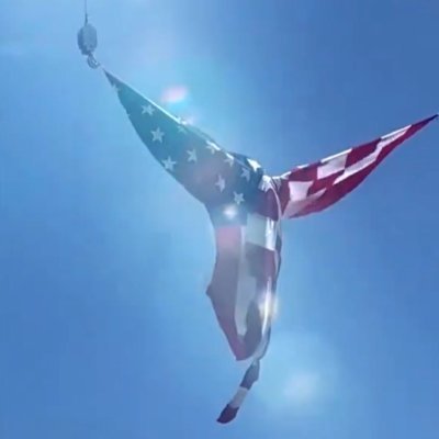 Republican, President Donald J. Trump, MAGA, Ephesians 2:8,
Daughter of the King of Kings, No DMs