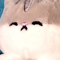 あはんぬ (@ahasan_2go) Twitter profile photo